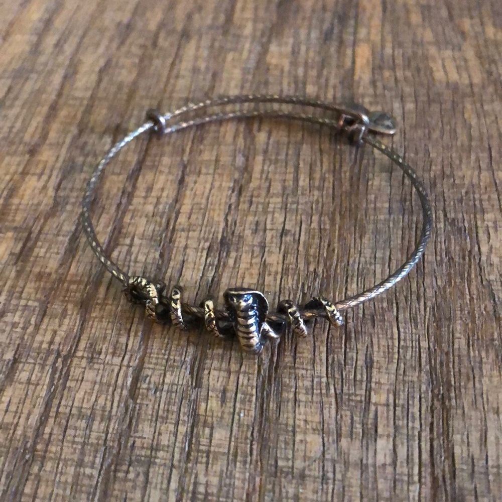 Cobra Alex and ani bracelet